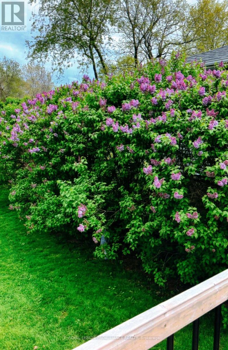 97 Prospect Hill, Quinte West, Ontario  K8V 2V4 - Photo 37 - X12818724