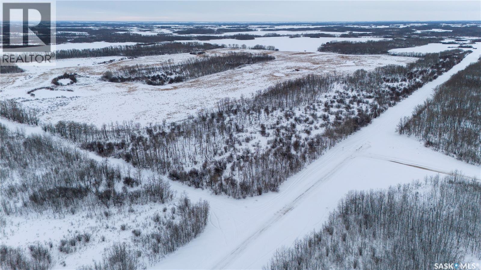 Buchanan Quarter R.m. #274, Good Lake Rm No. 274, Saskatchewan  S0A 0J0 - Photo 1 - SK029149