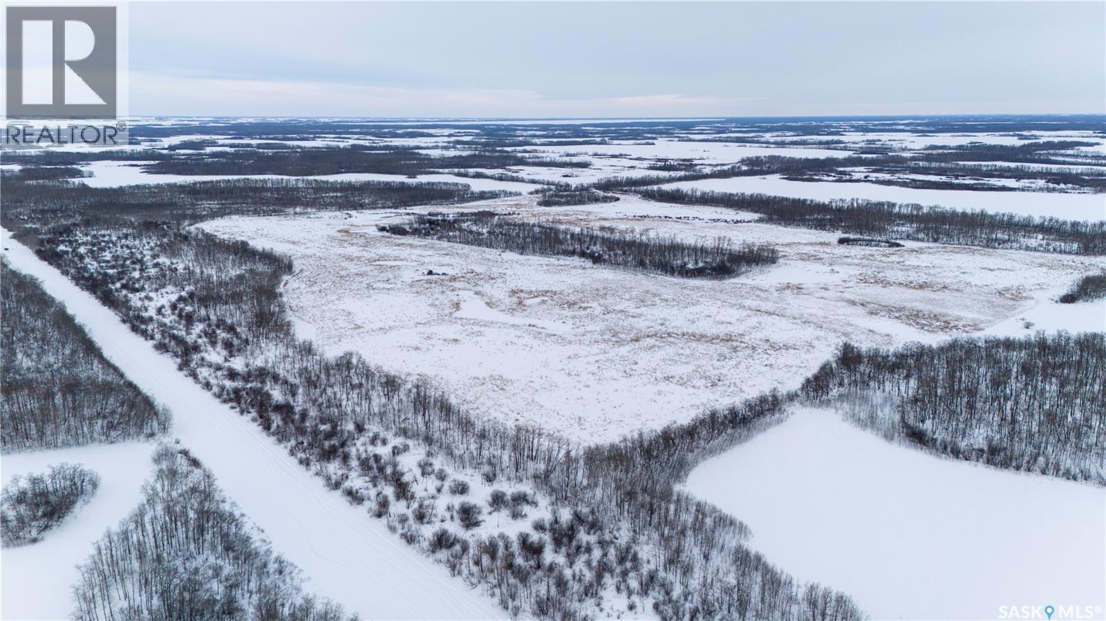 Buchanan Quarter R.m. #274, Good Lake Rm No. 274, Saskatchewan  S0A 0J0 - Photo 2 - SK029149