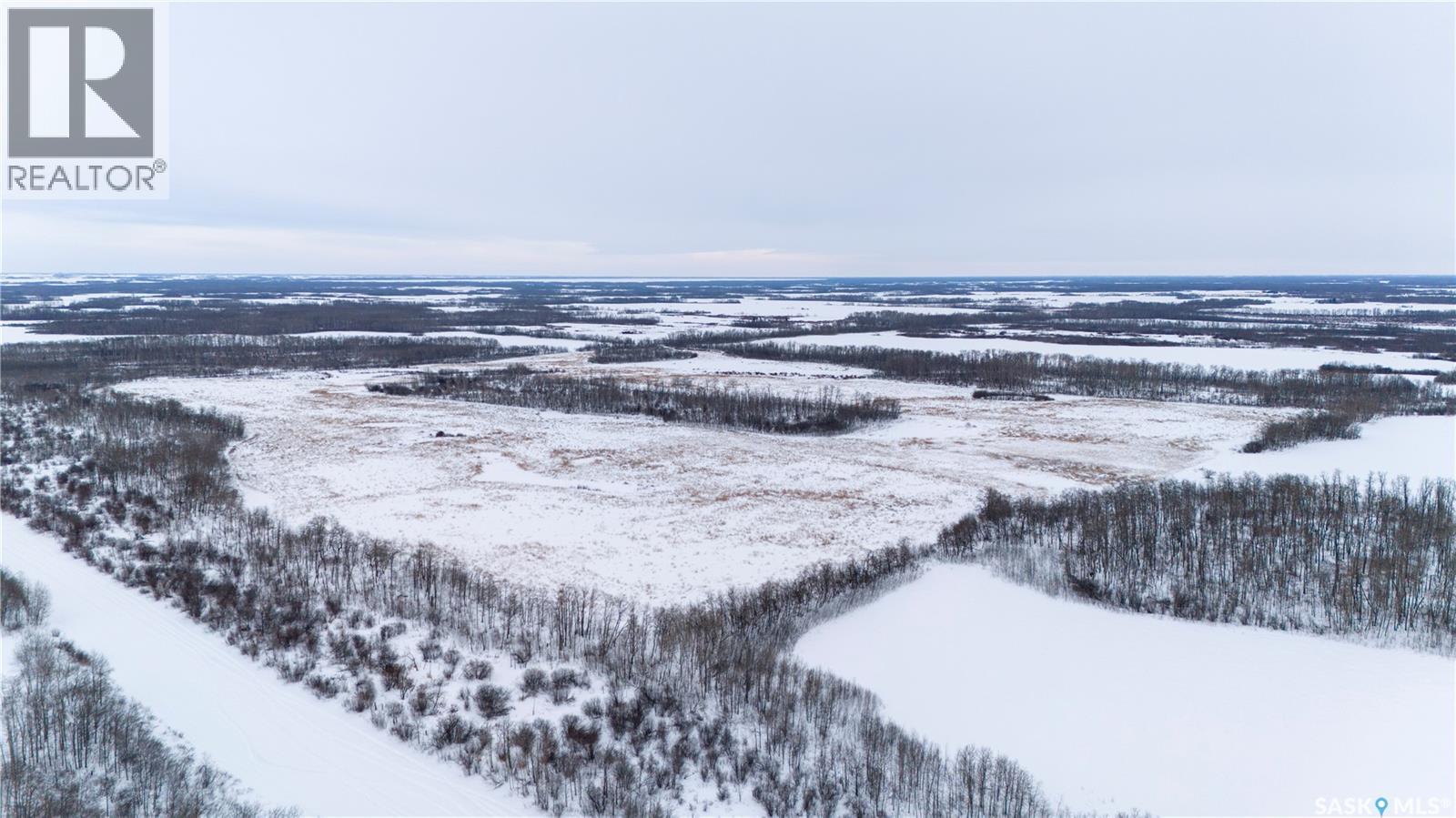 Buchanan Quarter R.m. #274, Good Lake Rm No. 274, Saskatchewan  S0A 0J0 - Photo 3 - SK029149