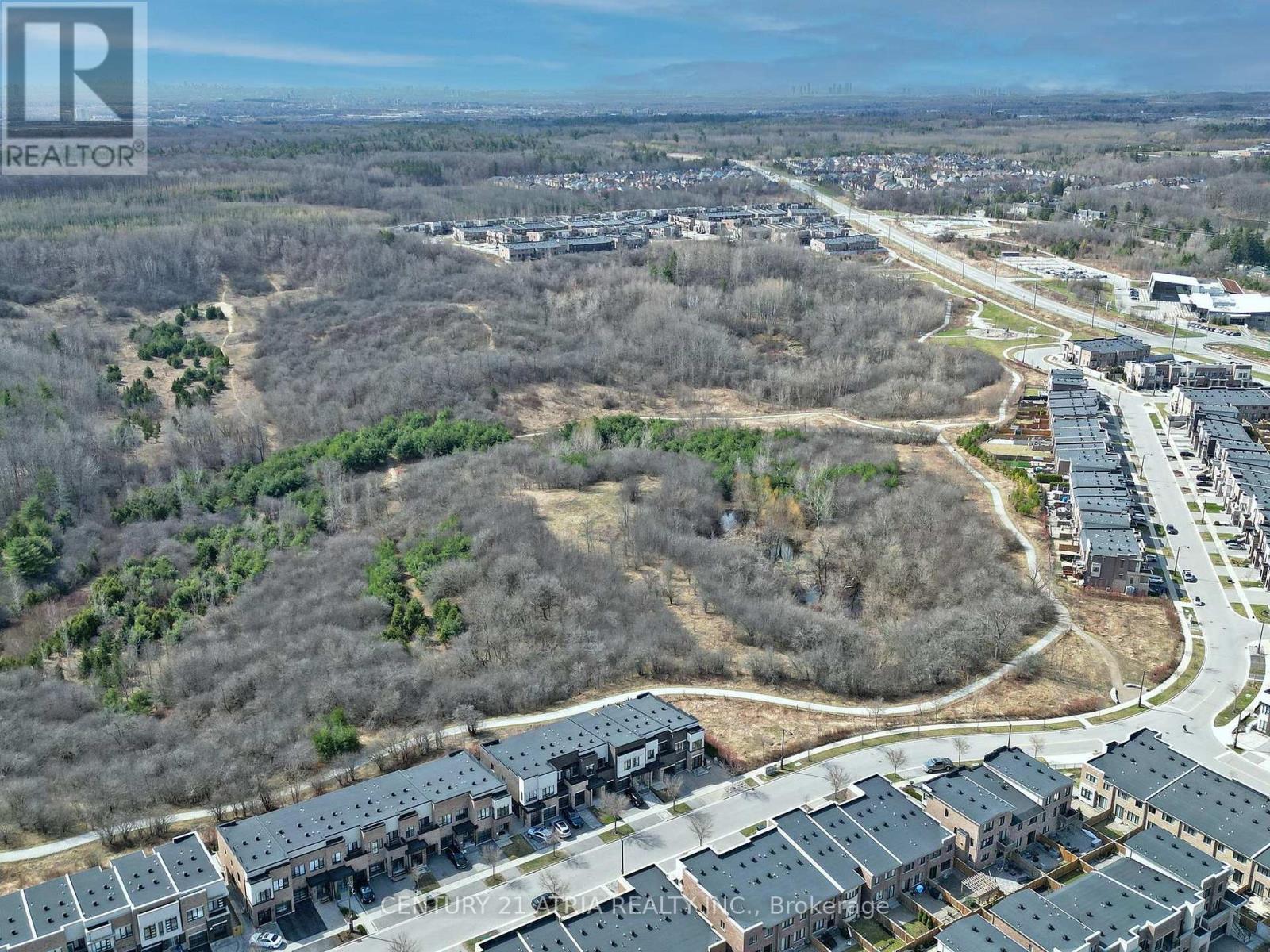 105 Anchusa Drive, Richmond Hill, Ontario  L4E 1C5 - Photo 43 - N12490788