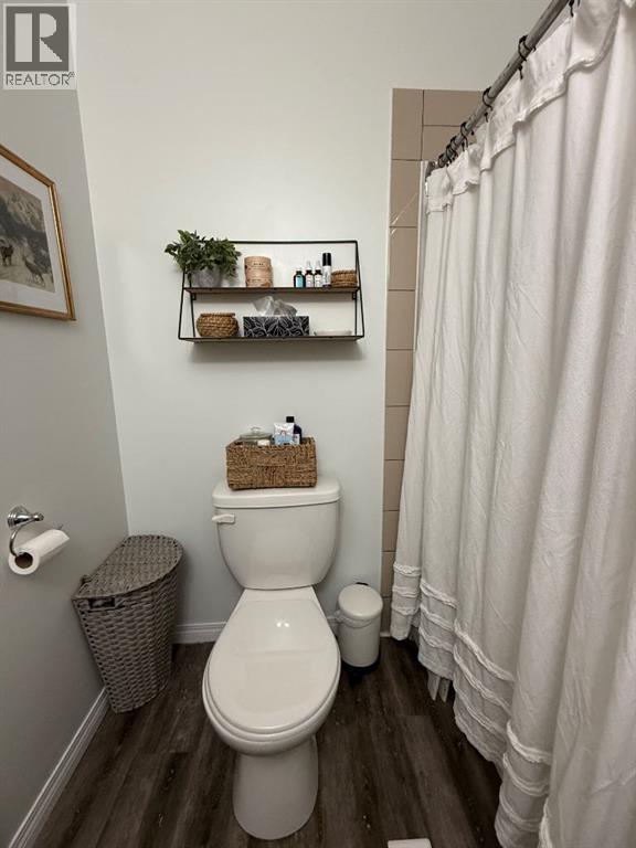 5808 47th Street, High Prairie, Alberta  T0G 1E0 - Photo 20 - A2287617