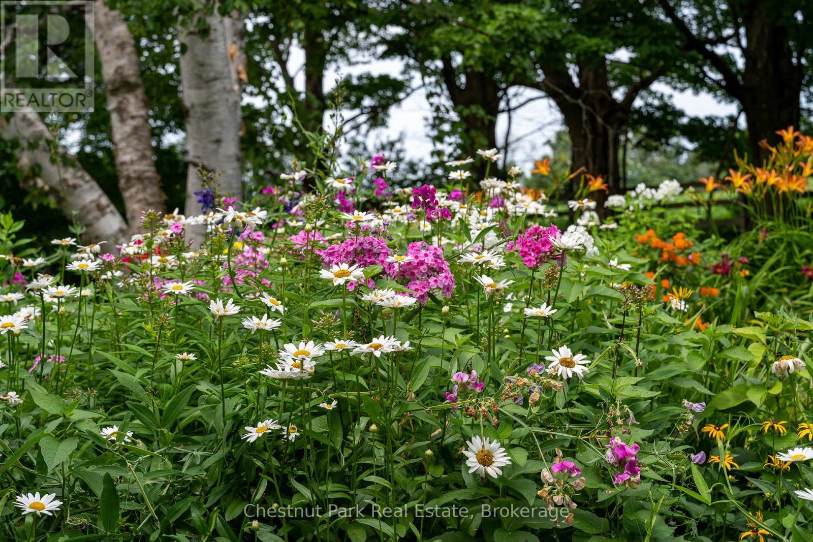 137312 Grey Road 12, Meaford, Ontario  N4L 1W6 - Photo 6 - X12819274