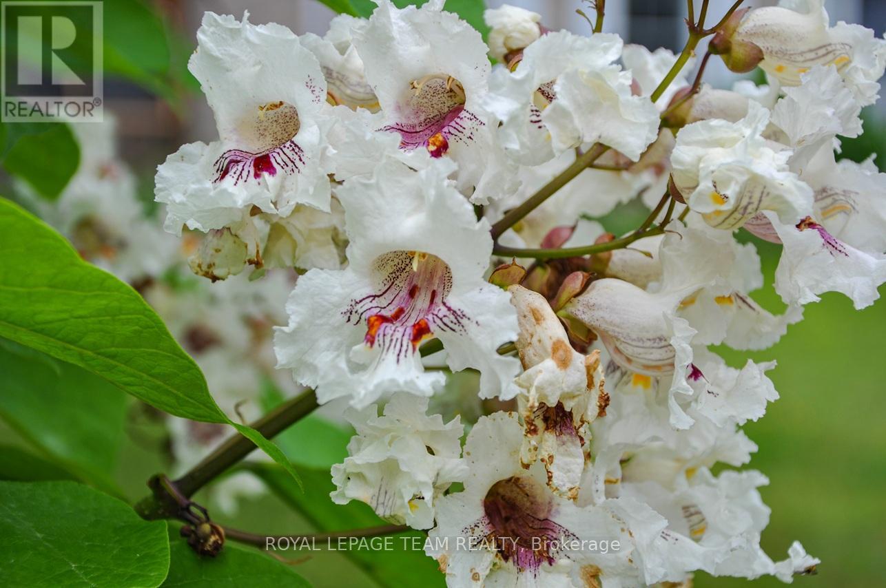 910 Bolton Road, North Grenville, Ontario  K0G 1N0 - Photo 47 - X12819352