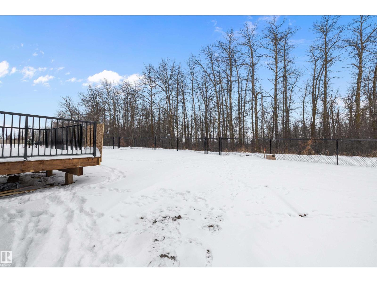 247 Edgemont Green Gr Nw Nw, Edmonton, Alberta  T6M 3J7 - Photo 44 - E4473456