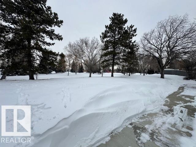 633 Willow Co Nw, Edmonton, Alberta  T5T 2K7 - Photo 3 - E4474791