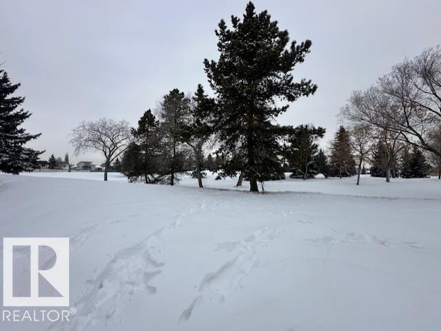 633 Willow Co Nw, Edmonton, Alberta  T5T 2K7 - Photo 25 - E4474791