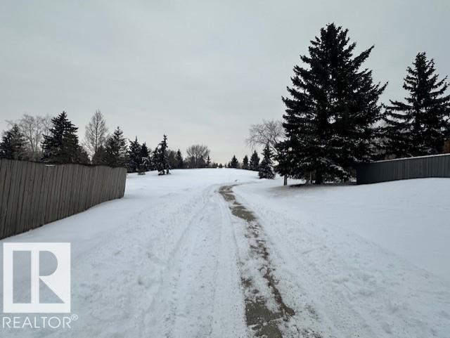 633 Willow Co Nw, Edmonton, Alberta  T5T 2K7 - Photo 28 - E4474791