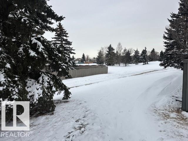 633 Willow Co Nw, Edmonton, Alberta  T5T 2K7 - Photo 29 - E4474791