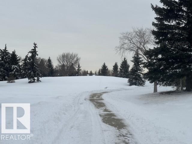 633 Willow Co Nw, Edmonton, Alberta  T5T 2K7 - Photo 30 - E4474791