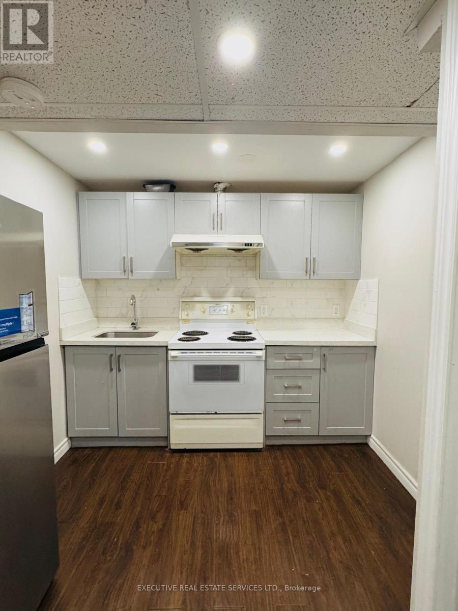 Bsmnt - 246 Doubtfire Crescent, Markham, Ontario  L3S 3V8 - Photo 6 - N12819136