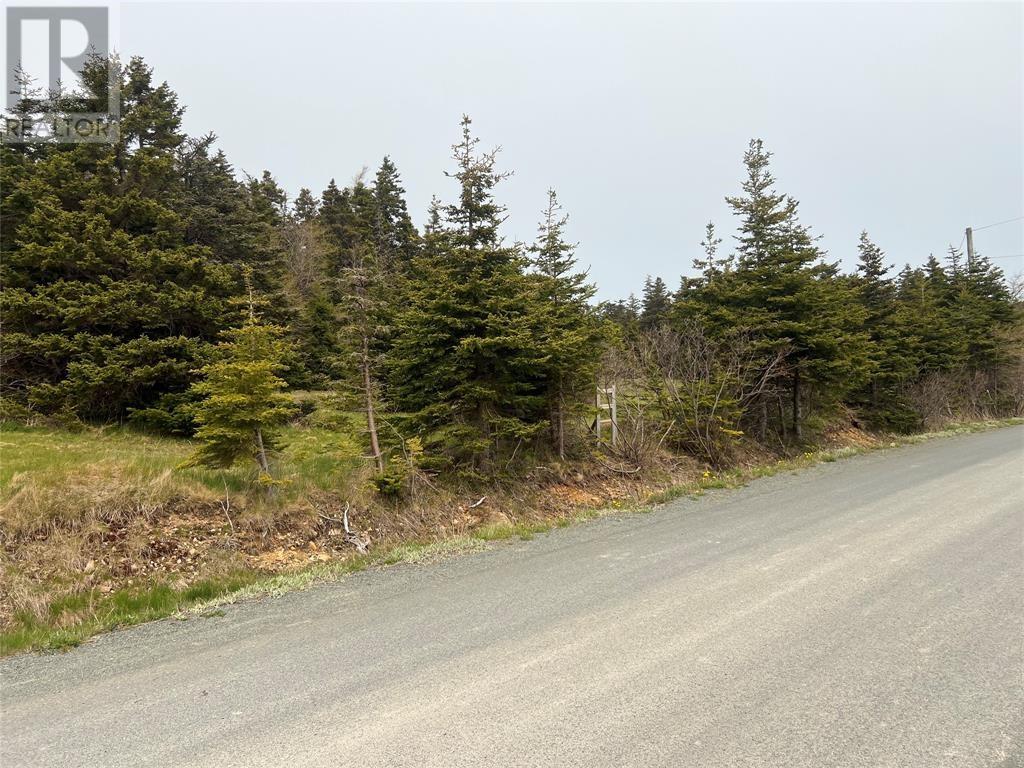 28-30 Wall's Road, Pouch Cove, Newfoundland & Labrador  A0A 3L0 - Photo 2 - 1294779