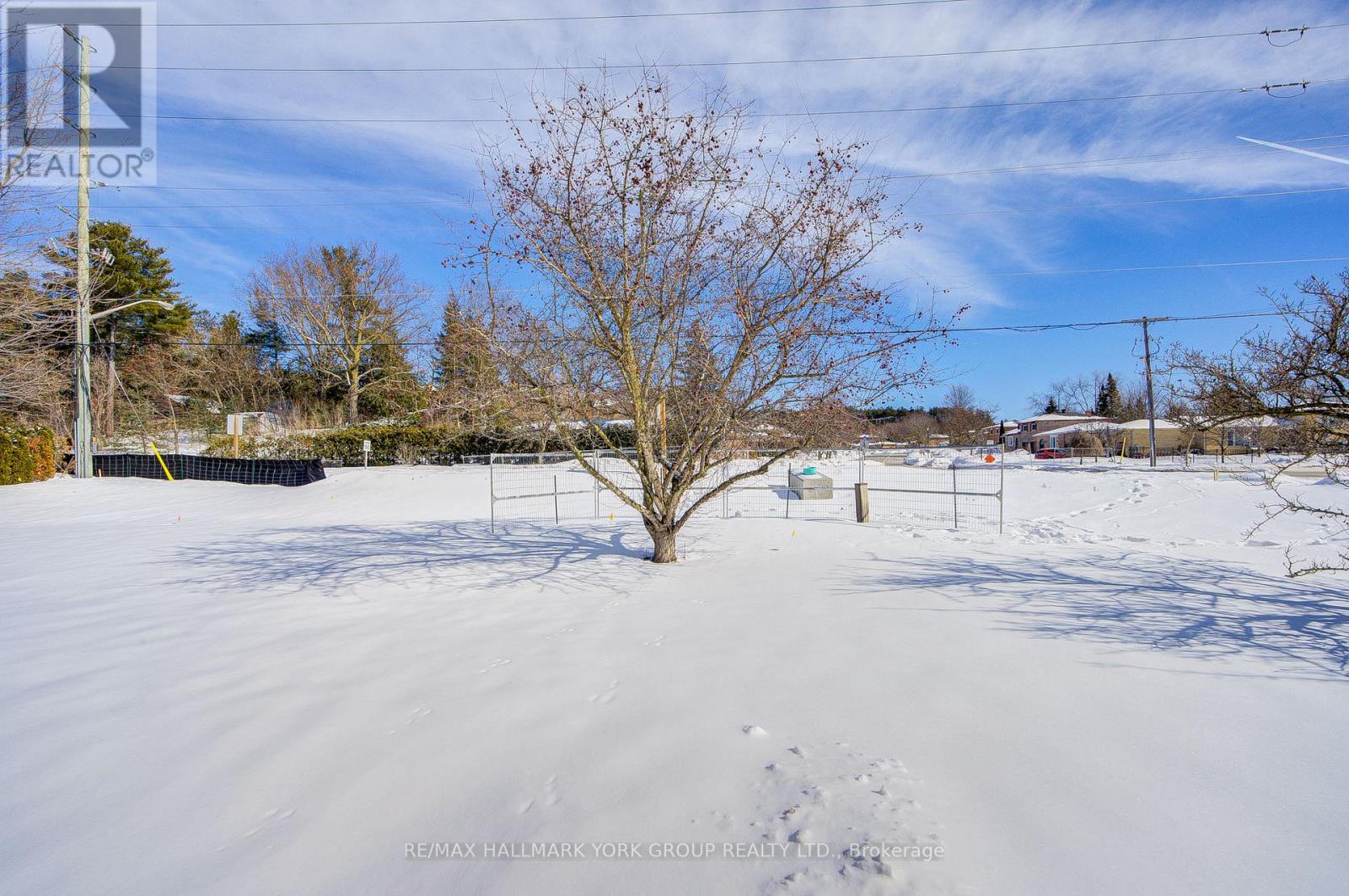 184 Olive Street, East Gwillimbury, Ontario  L9N 1M3 - Photo 25 - N12819380