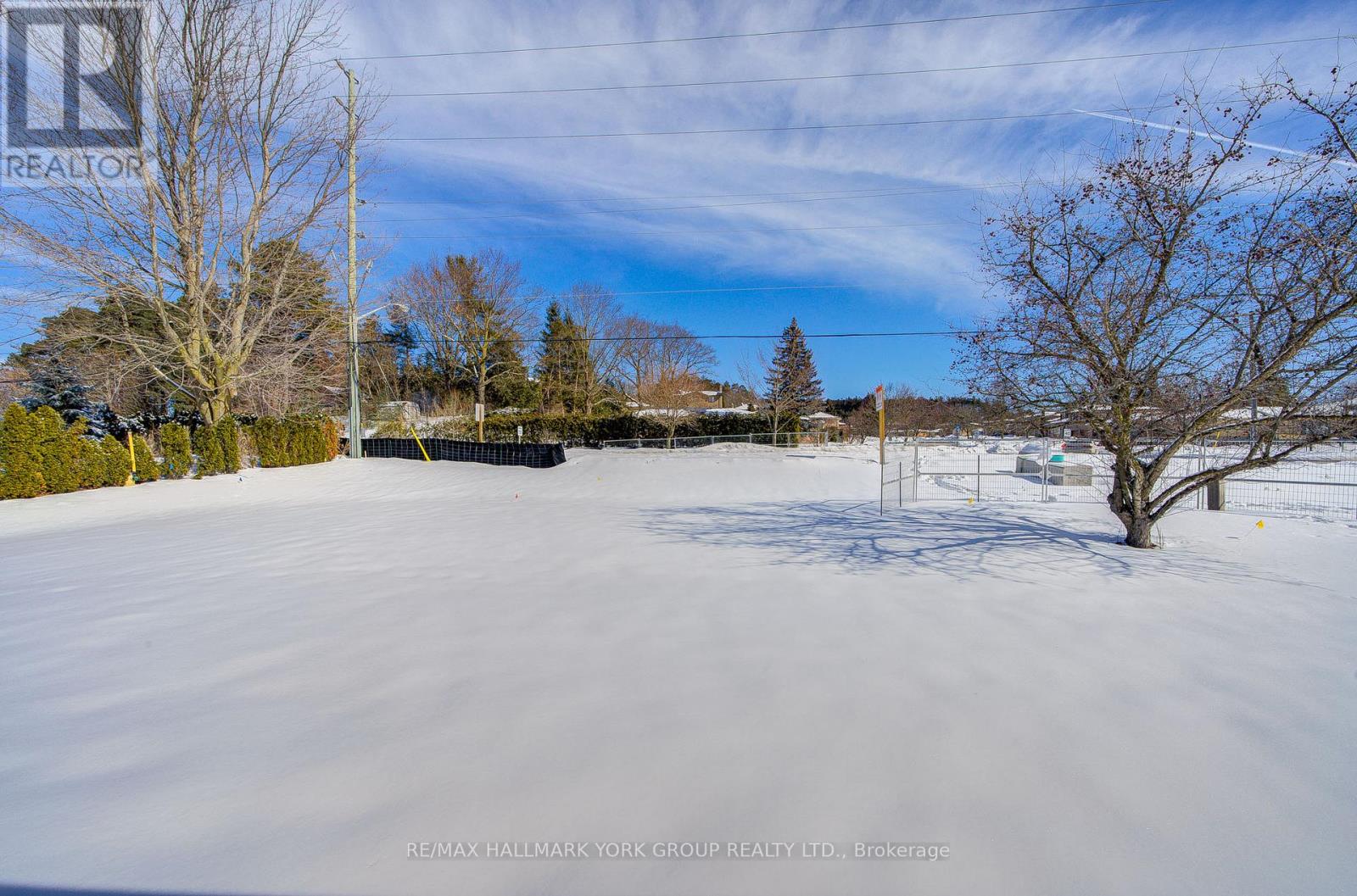 184 Olive Street, East Gwillimbury, Ontario  L9N 1M3 - Photo 28 - N12819380
