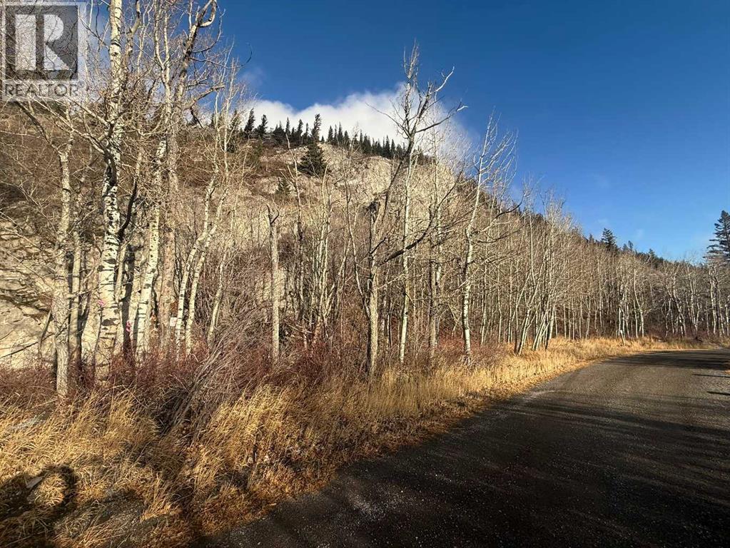 65 Acres Along Windridge Road, Rural Bighorn No. 8, Alberta  T0L 2C0 - Photo 29 - A2272039