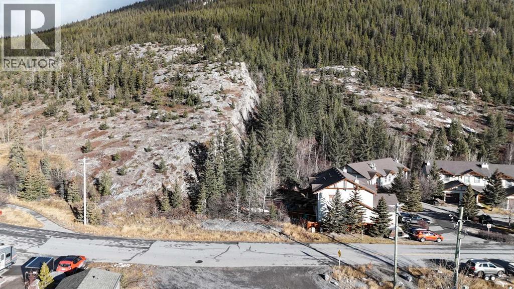 65 Acres Along Windridge Road, Rural Bighorn No. 8, Alberta  T0L 2C0 - Photo 4 - A2272039