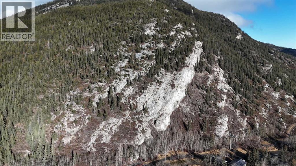 65 Acres Along Windridge Road, Rural Bighorn No. 8, Alberta  T0L 2C0 - Photo 13 - A2272039