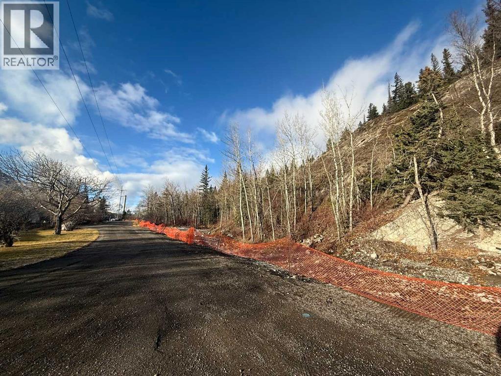 65 Acres Along Windridge Road, Rural Bighorn No. 8, Alberta  T0L 2C0 - Photo 27 - A2272039