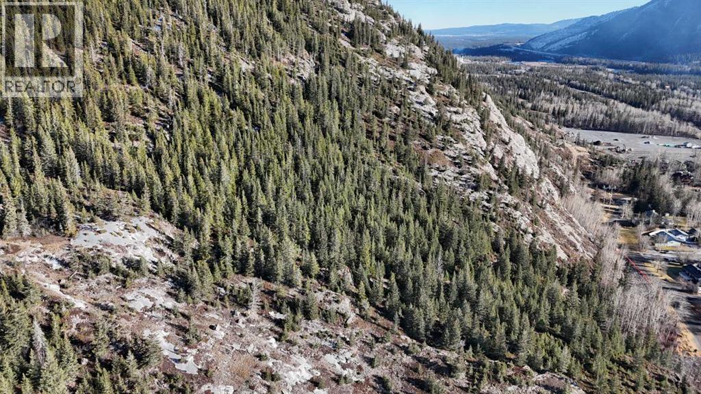 65 Acres Along Windridge Road, Rural Bighorn No. 8, Alberta  T0L 2C0 - Photo 26 - A2272039