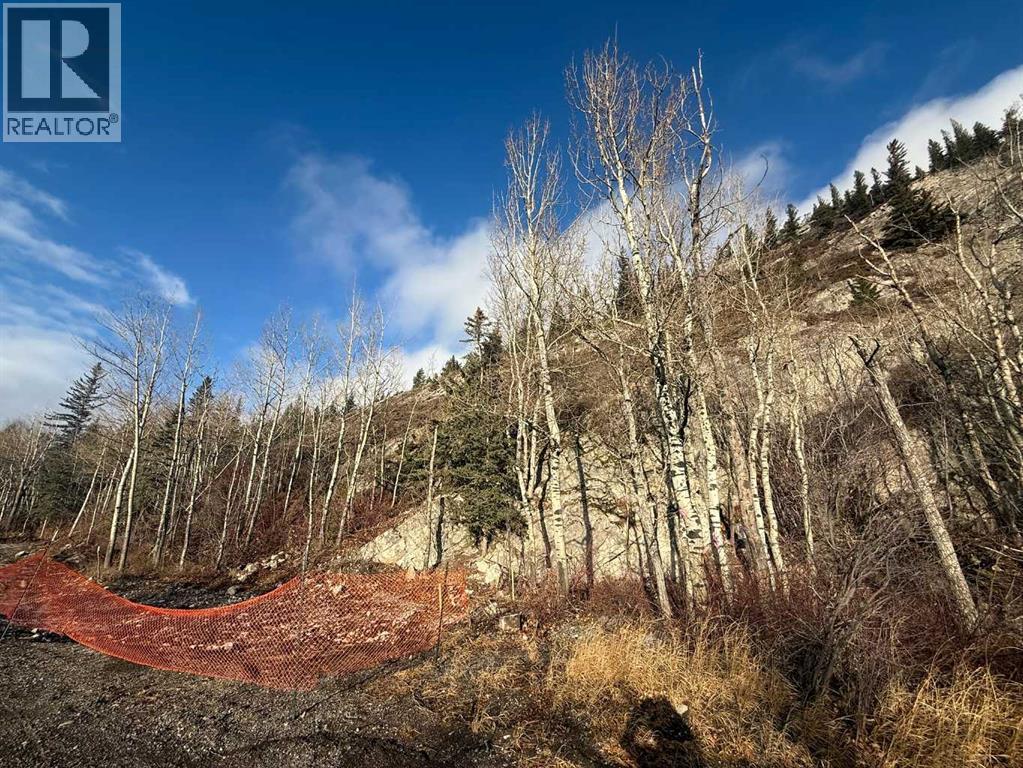 65 Acres Along Windridge Road, Rural Bighorn No. 8, Alberta  T0L 2C0 - Photo 35 - A2272039