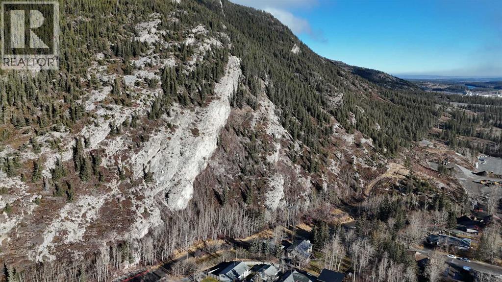 65 Acres Along Windridge Road, Rural Bighorn No. 8, Alberta  T0L 2C0 - Photo 12 - A2272039