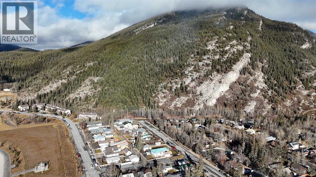 65 Acres Along Windridge Road, Rural Bighorn No. 8, Alberta  T0L 2C0 - Photo 14 - A2272039