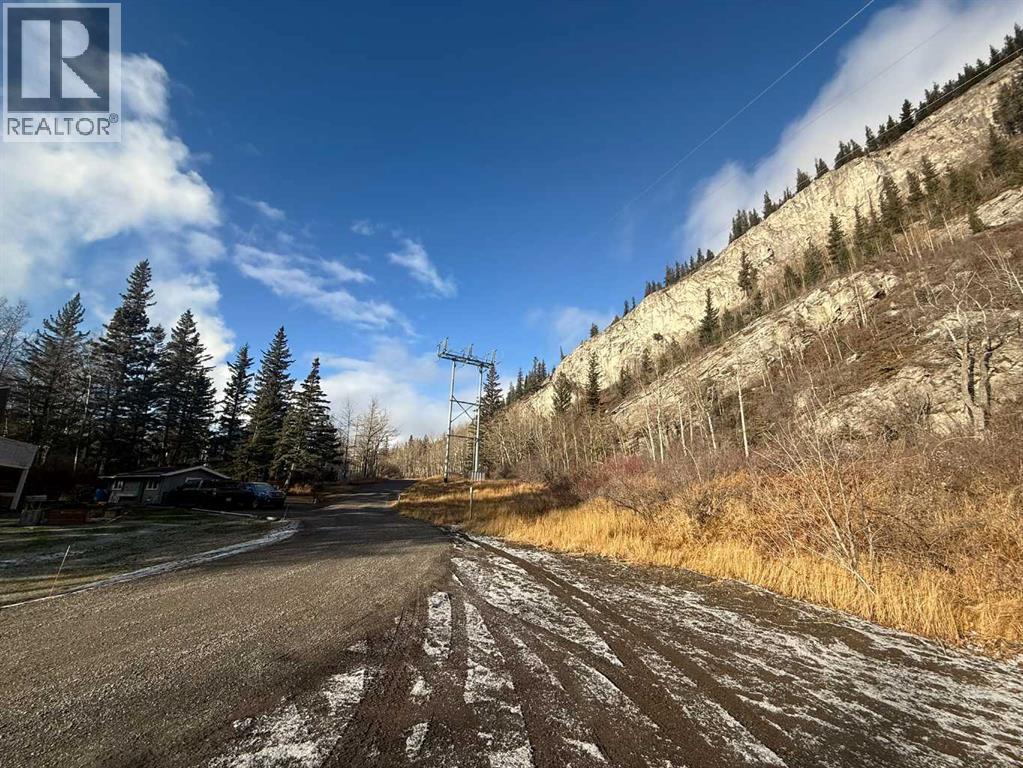 65 Acres Along Windridge Road, Rural Bighorn No. 8, Alberta  T0L 2C0 - Photo 43 - A2272039