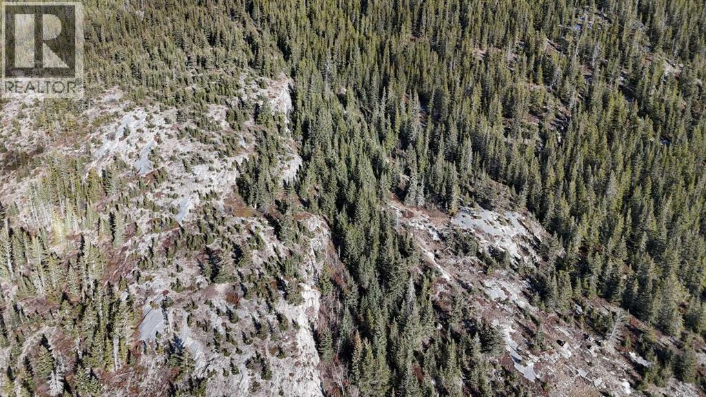 65 Acres Along Windridge Road, Rural Bighorn No. 8, Alberta  T0L 2C0 - Photo 25 - A2272039