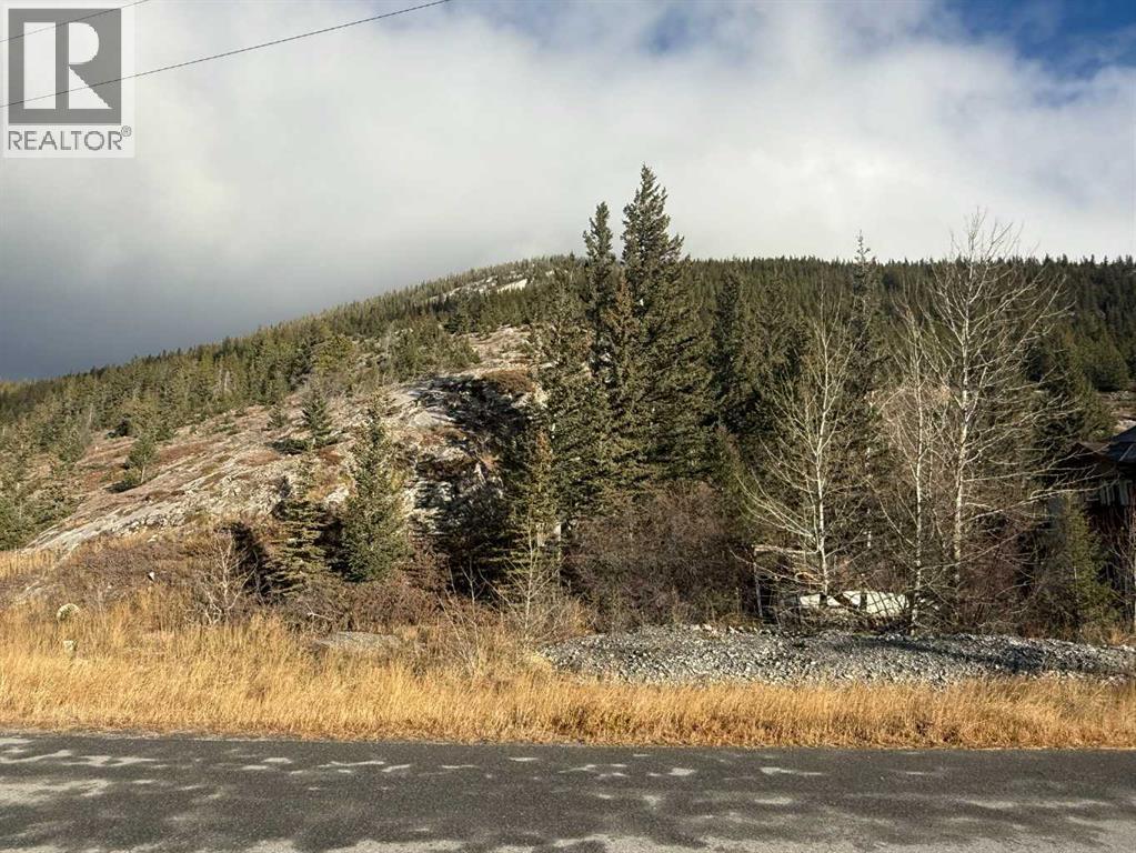 65 Acres Along Windridge Road, Rural Bighorn No. 8, Alberta  T0L 2C0 - Photo 44 - A2272039