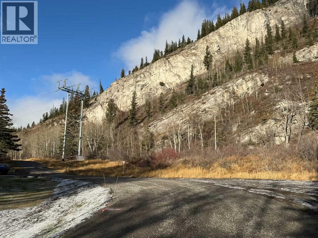 65 Acres Along Windridge Road, Rural Bighorn No. 8, Alberta  T0L 2C0 - Photo 39 - A2272039