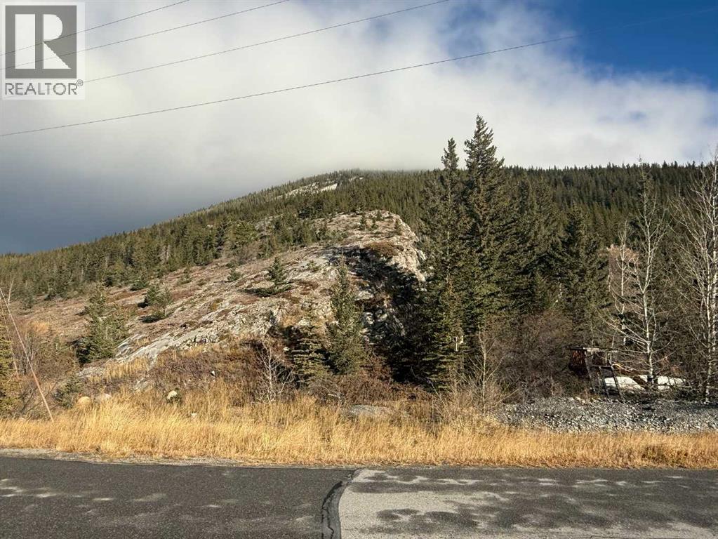 65 Acres Along Windridge Road, Rural Bighorn No. 8, Alberta  T0L 2C0 - Photo 46 - A2272039