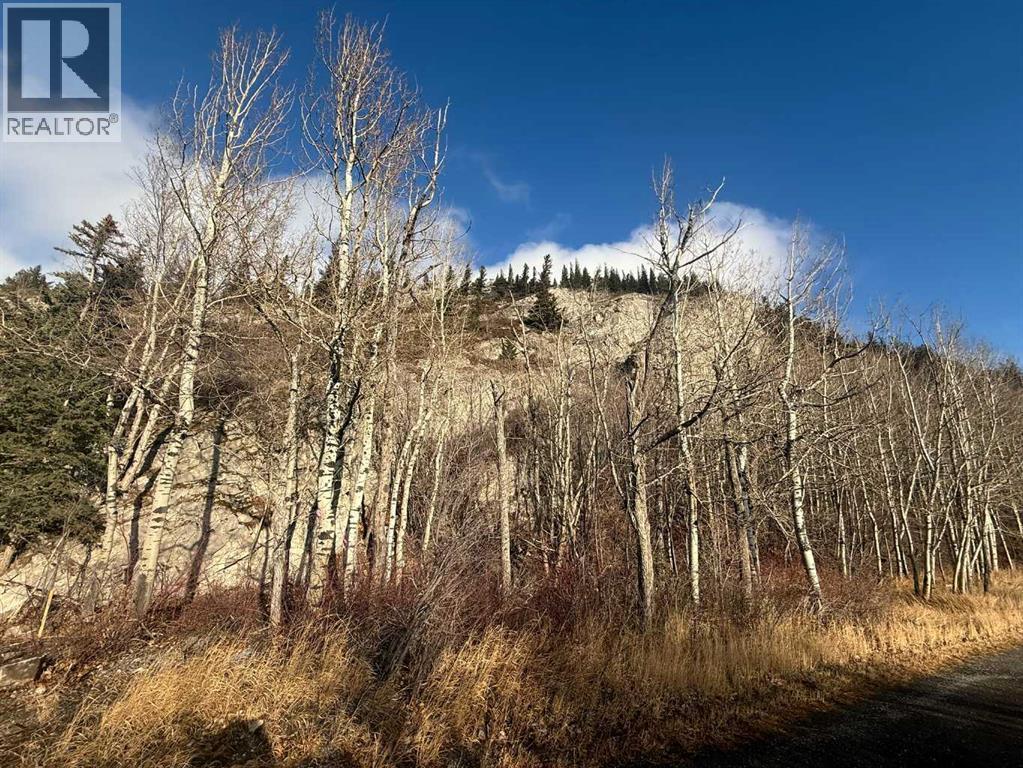 65 Acres Along Windridge Road, Rural Bighorn No. 8, Alberta  T0L 2C0 - Photo 33 - A2272039