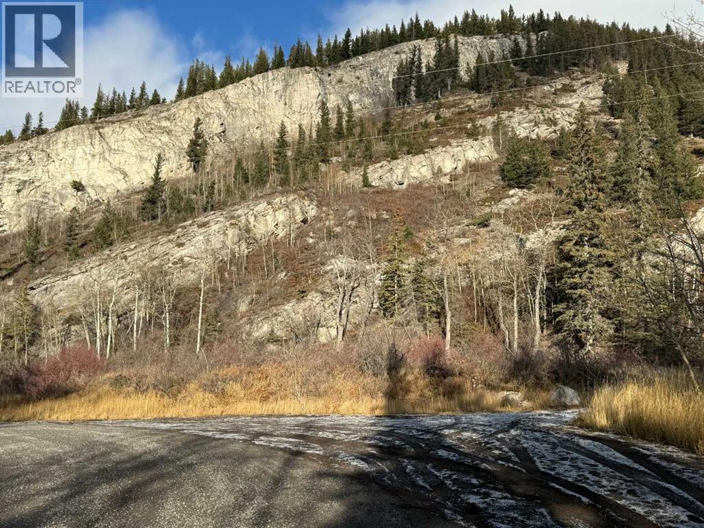 65 Acres Along Windridge Road, Rural Bighorn No. 8, Alberta  T0L 2C0 - Photo 37 - A2272039