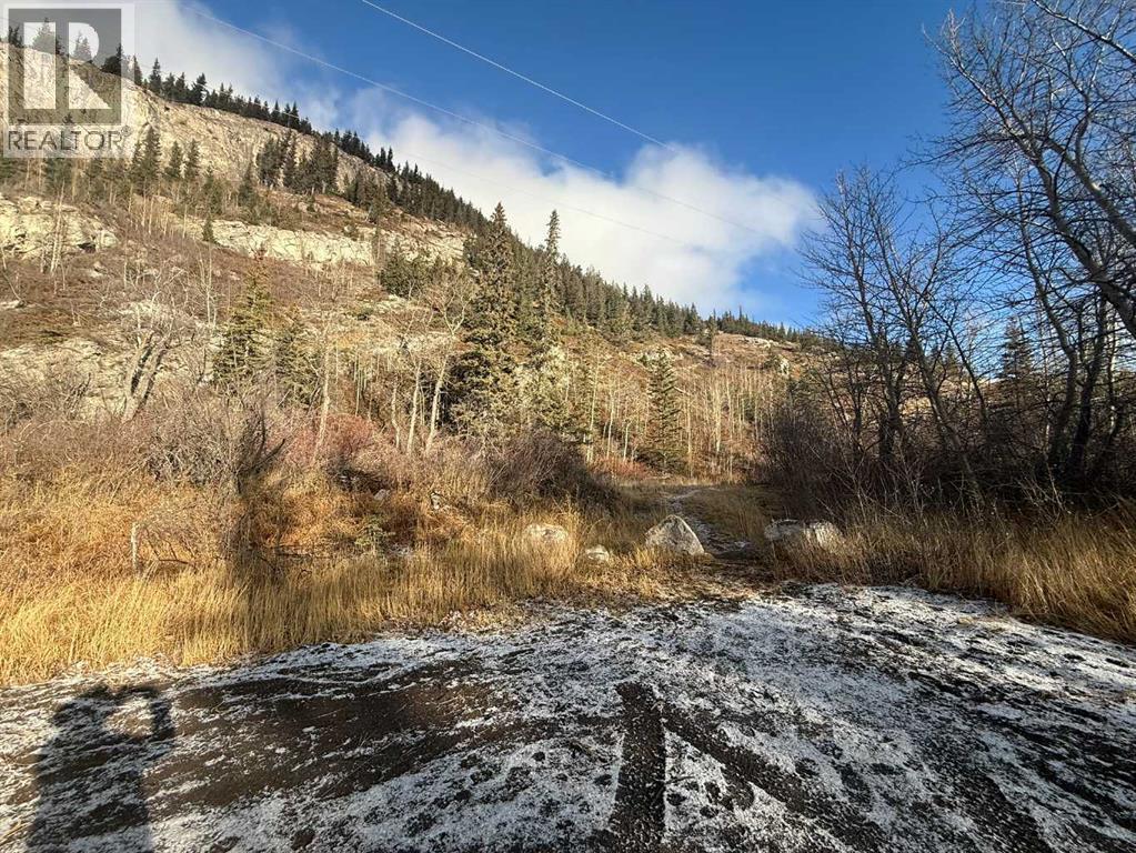 65 Acres Along Windridge Road, Rural Bighorn No. 8, Alberta  T0L 2C0 - Photo 42 - A2272039