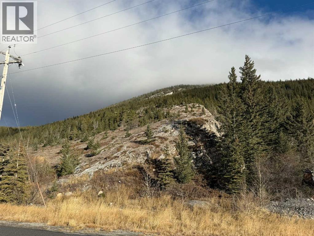 65 Acres Along Windridge Road, Rural Bighorn No. 8, Alberta  T0L 2C0 - Photo 45 - A2272039