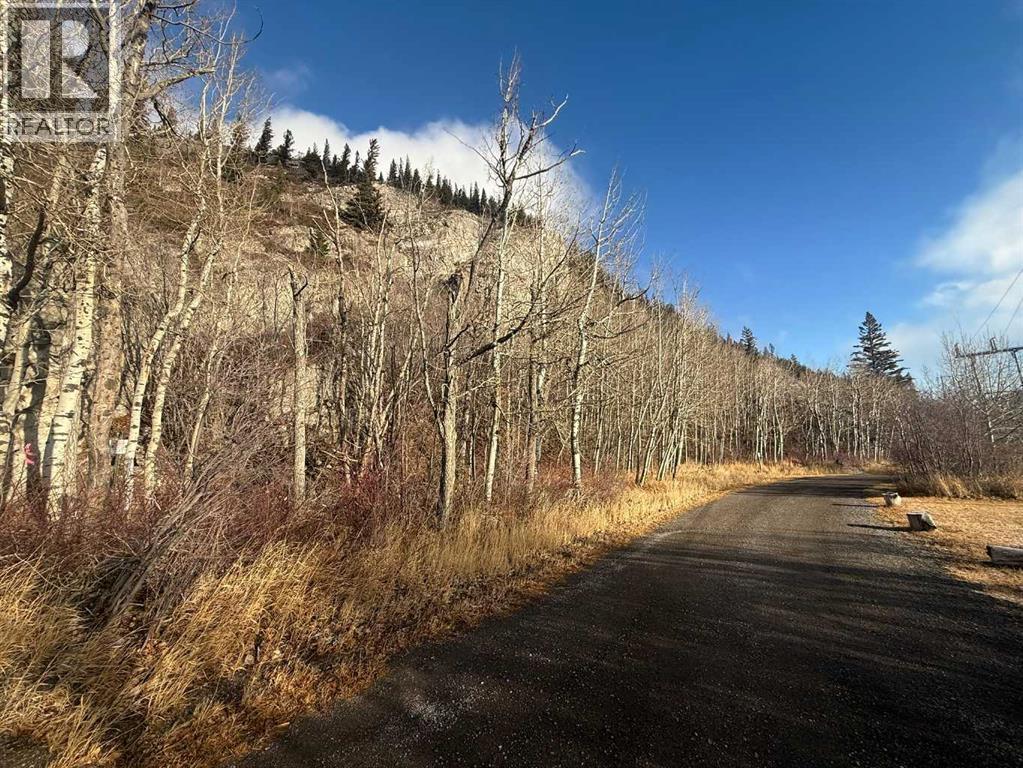 65 Acres Along Windridge Road, Rural Bighorn No. 8, Alberta  T0L 2C0 - Photo 31 - A2272039