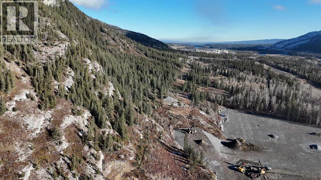 65 Acres Along Windridge Road, Rural Bighorn No. 8, Alberta  T0L 2C0 - Photo 17 - A2272039