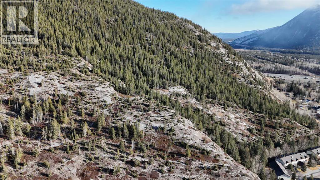 65 Acres Along Windridge Road, Rural Bighorn No. 8, Alberta  T0L 2C0 - Photo 7 - A2272039