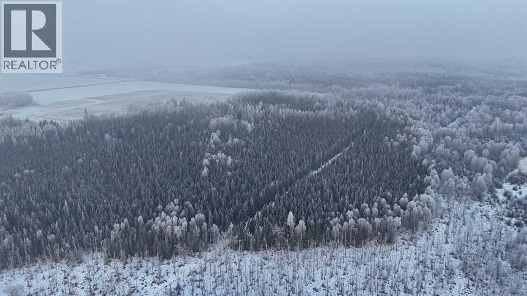 Twp Rd 622 & Rr 213, Rural Thorhild County, Alberta  T0A 3J0 - Photo 28 - A2273631