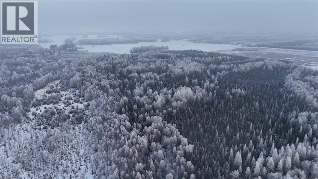 Twp Rd 622 & Rr 213, Rural Thorhild County, Alberta  T0A 3J0 - Photo 31 - A2273631