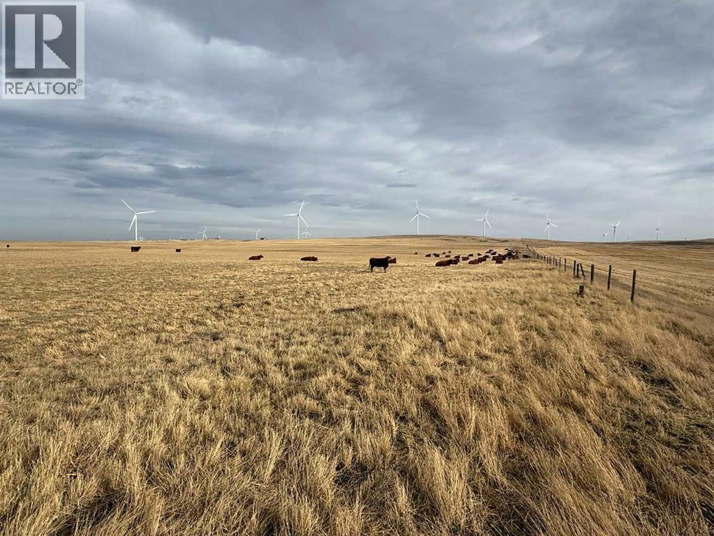 142 Township Range Rd. 225 Township, Rural Vulcan County, Alberta  T0L 0N0 - Photo 10 - A2237686