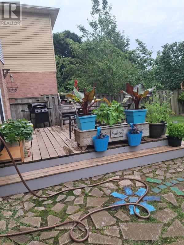 6448 Colebrook Crescent, Mississauga, Ontario  L5N 3E4 - Photo 31 - W12819558