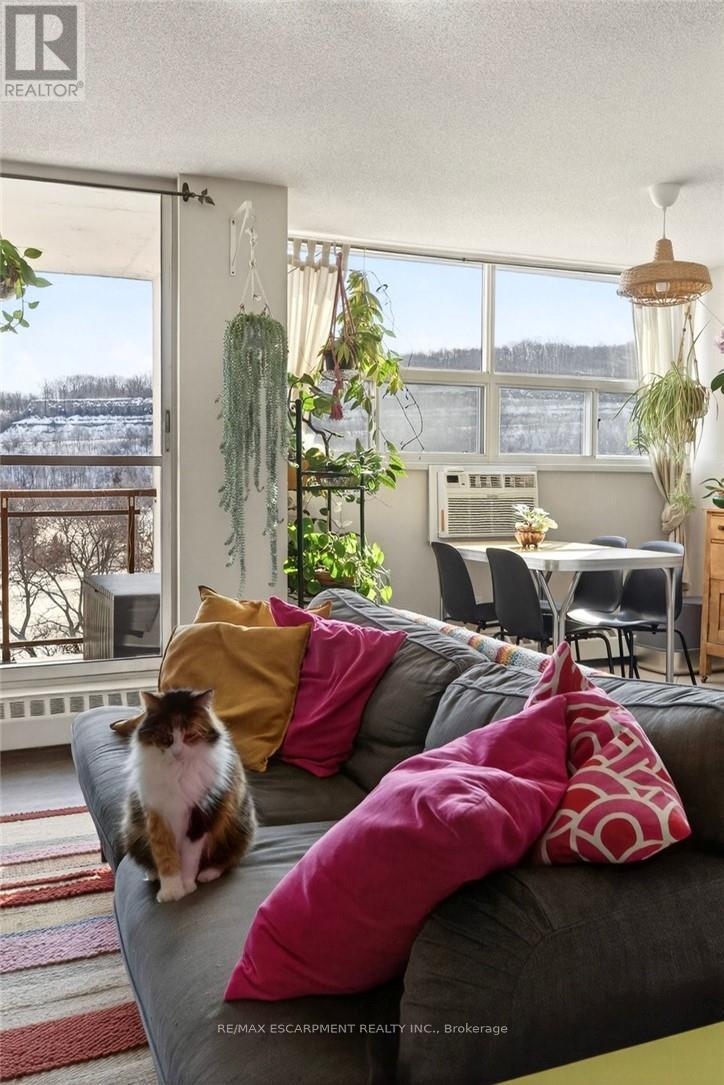 906 - 1950 Main Street W, Hamilton, Ontario L8S 4M9 - Photo 11 - X12819622