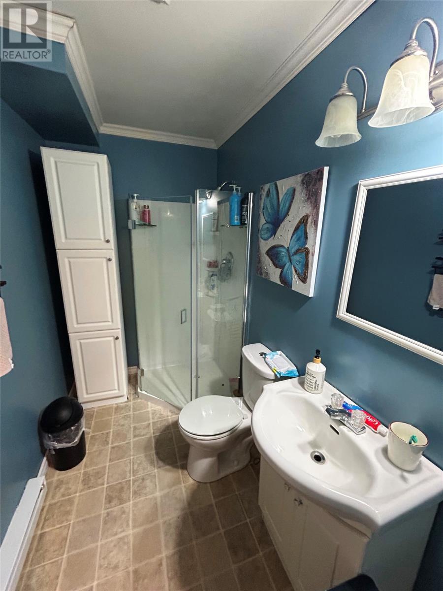 81 Bonavista Street, St. John's, Newfoundland & Labrador  A1E 3Z8 - Photo 22 - 1294780