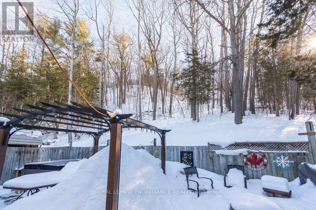 550 Frankford Stirling Road, Quinte West, Ontario  K0K 2C0 - Photo 27 - X12790150