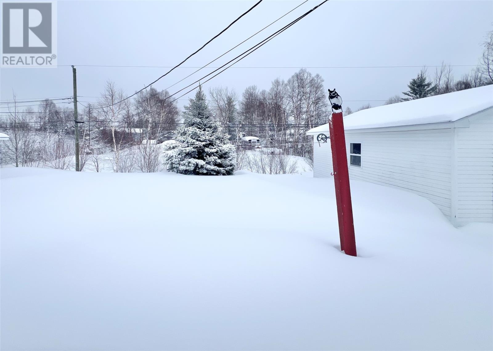 40 Thomas Street, Grand Falls-Windsor, Newfoundland & Labrador  A2A 2V6 - Photo 4 - 1294773