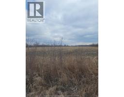 V/L MCLEOD, Amherstburg, Ontario