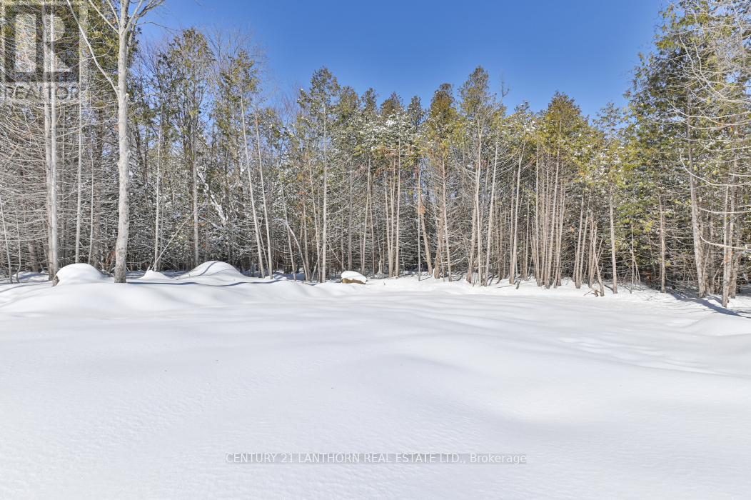 1039 Crookston Road, Centre Hastings, Ontario  K0K 2K0 - Photo 31 - X12819898