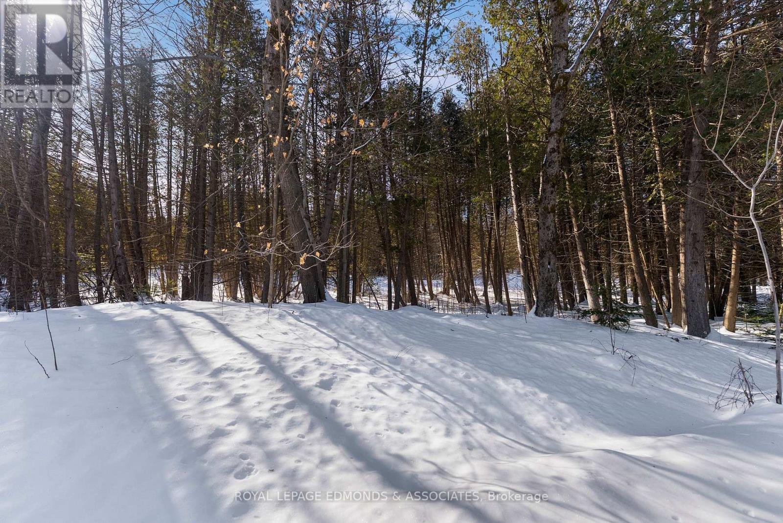 47a Trillium Lane, North Algona Wilberforce, Ontario K0J 1T0 - Photo 33 - X12820024