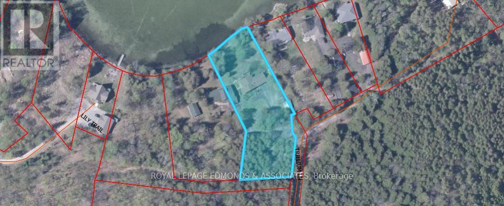 47a Trillium Lane, North Algona Wilberforce, Ontario K0J 1T0 - Photo 6 - X12820024